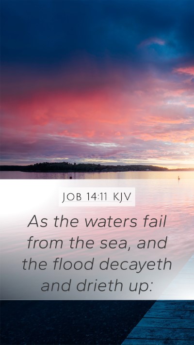 Job 14:11 Explained