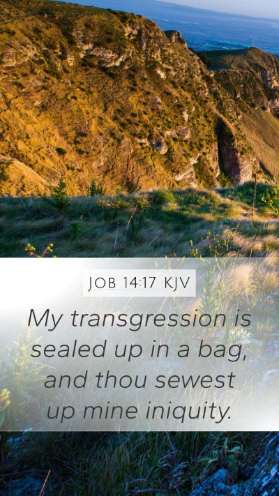 Job 14:17 Explained