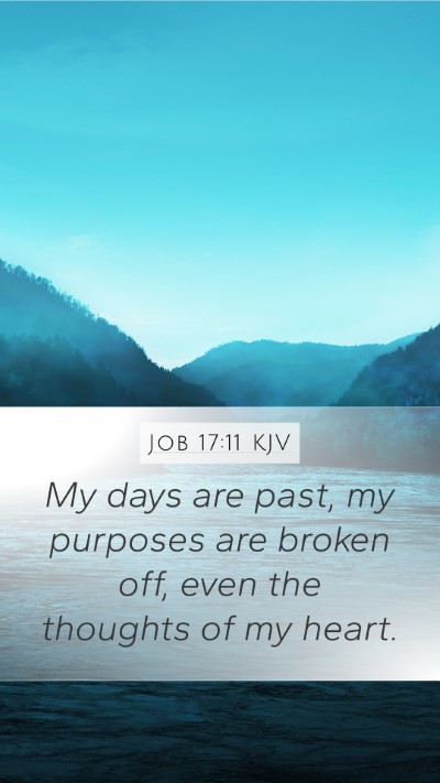 Job 17:11 Explained