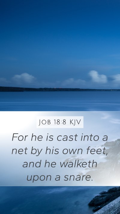 Job 18:8 Explained