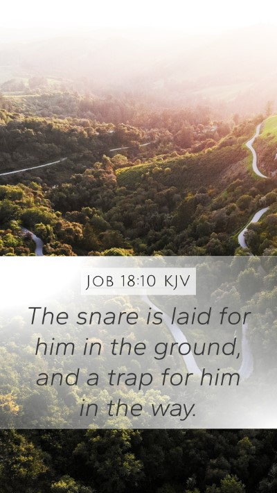 Job 18:10 Explained