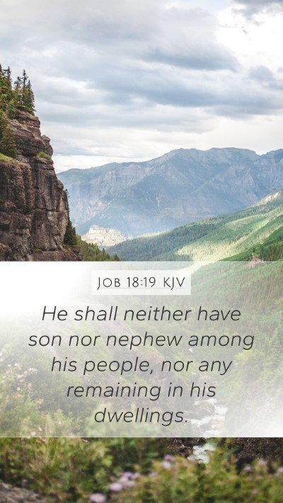 Job 18:19 Explained