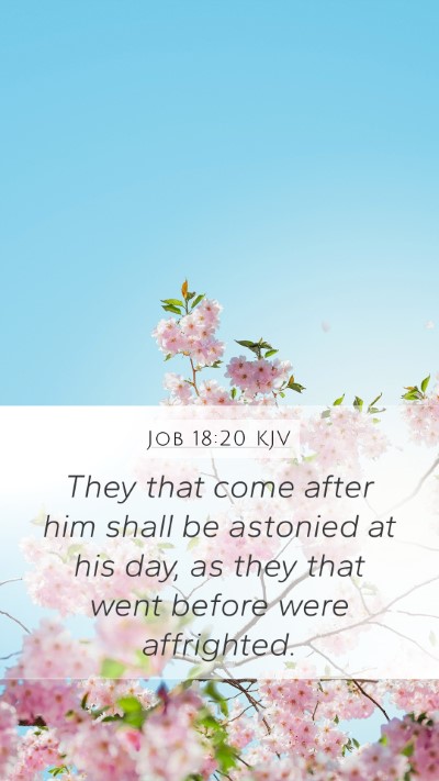 Job 18:20 Explained