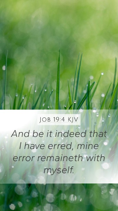 Job 19:4 Explained