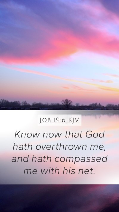 Job 19:6 Explained