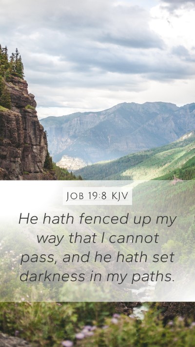 Job 19:8 Explained