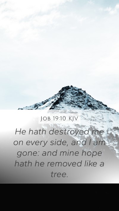 Job 19:10 Explained