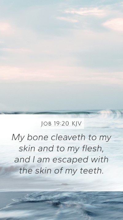 Job 19:20 Explained