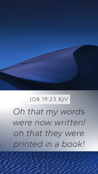 Job 19:23 Explained