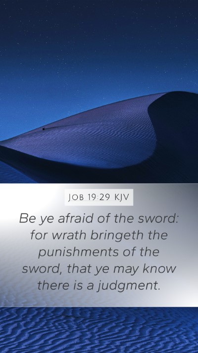 Job 19:29 Explained