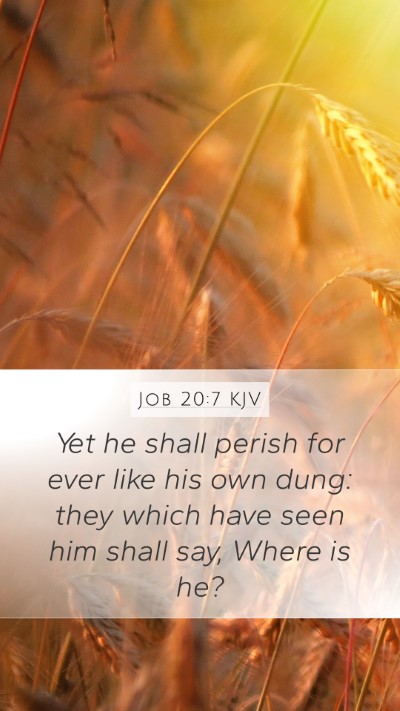 Job 20:7 Explained