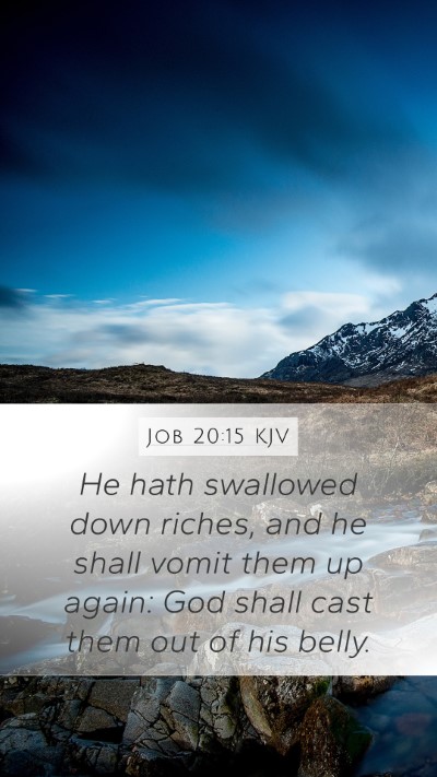 Job 20:15 Explained