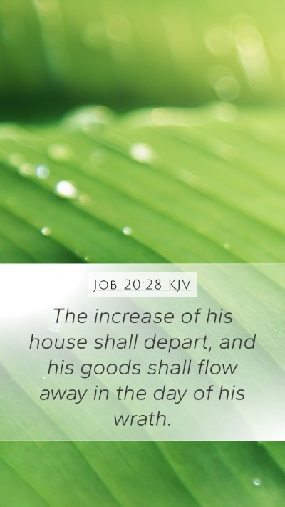 Job 20:28 Explained