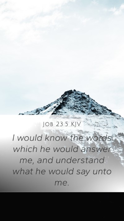 Job 23:5 Explained