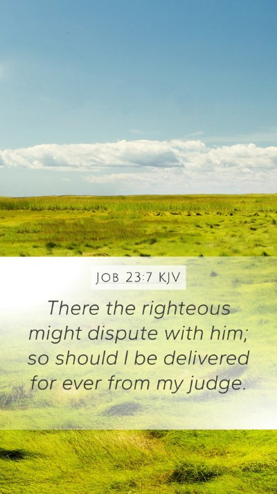 Job 23:7 Explained