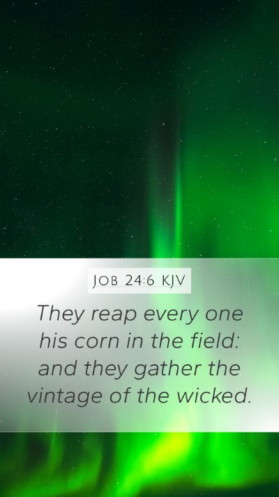 Job 24:6 Explained