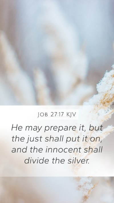 Job 27:17 Explained