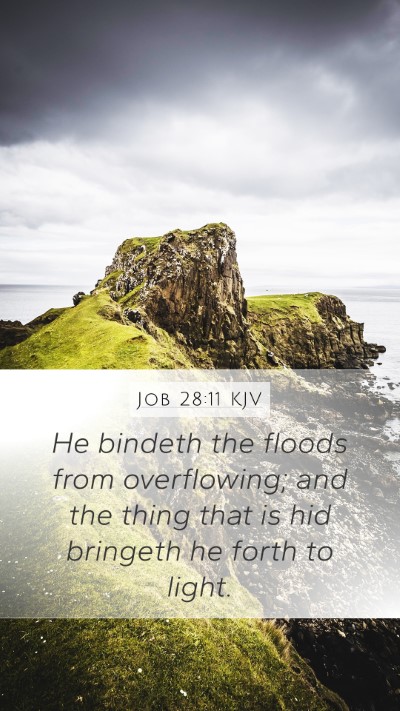 Job 28:11 Explained