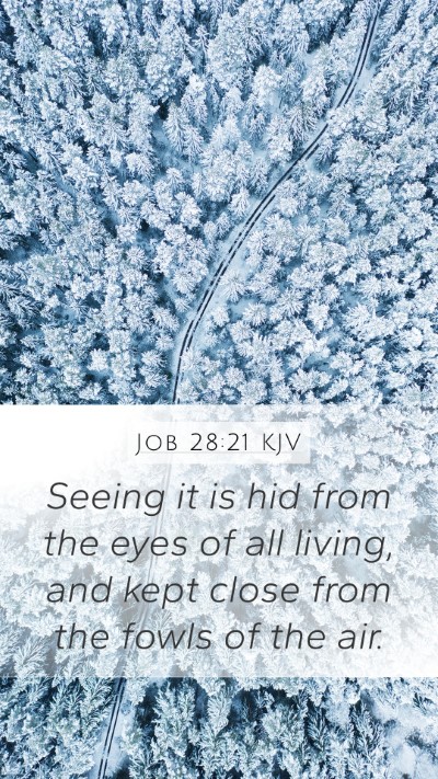 Job 28:21 Explained