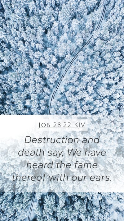 Job 28:22 Explained