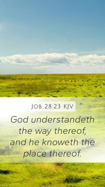 Job 28:23 Explained