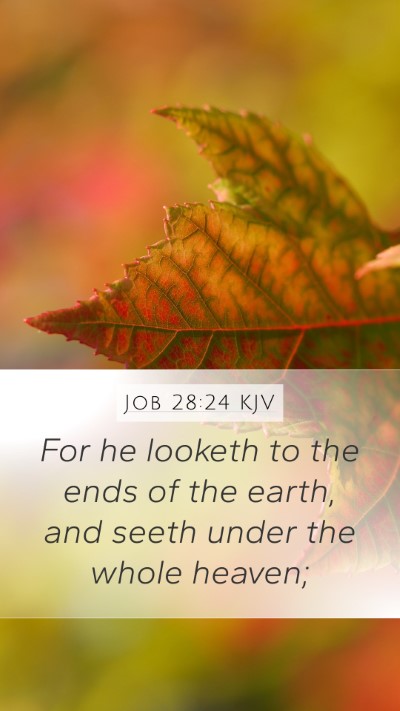 Job 28:24 Explained