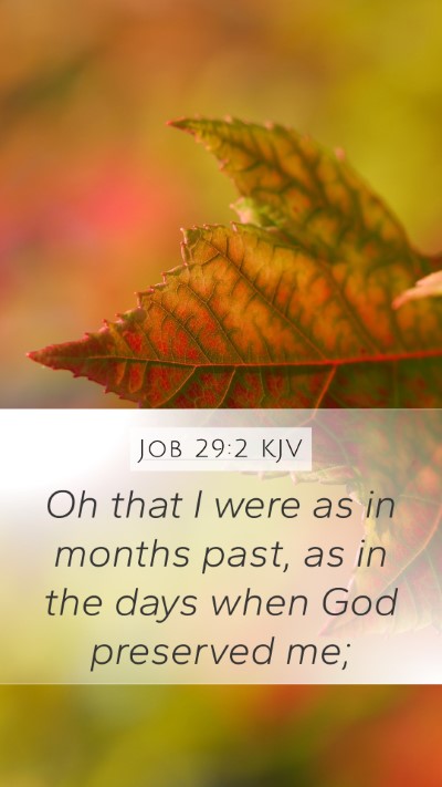 Job 29:2 Explained