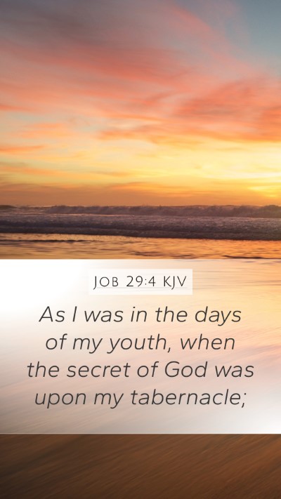 Job 29:4 Explained