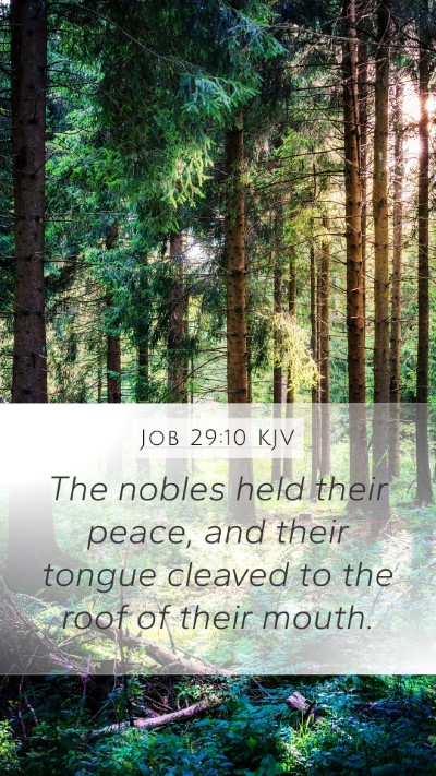 Job 29:10 Explained