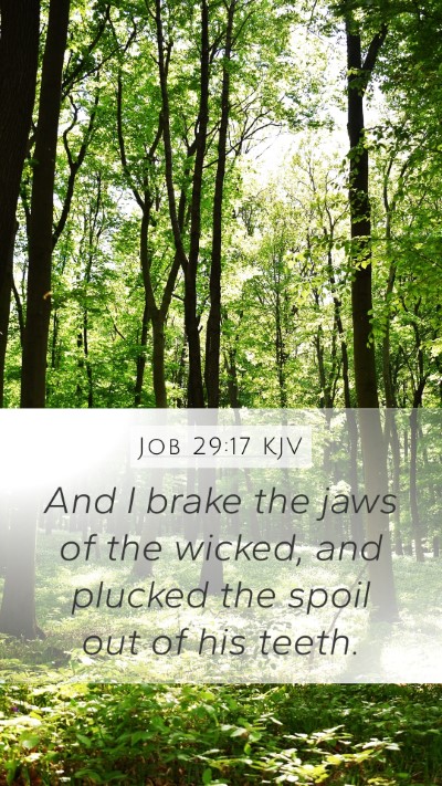 Job 29:17 Explained