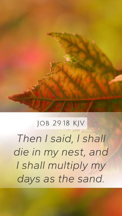 Job 29:18 Explained