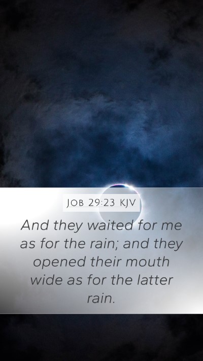 Job 29:23 Explained