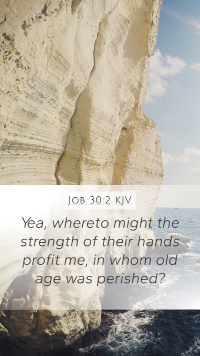 Job 30:2 Explained