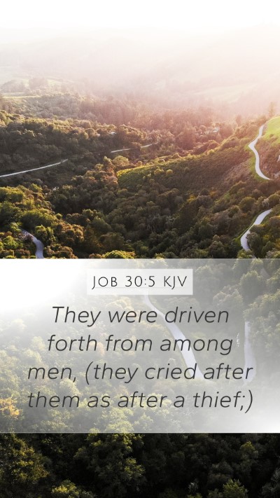 Job 30:5 Explained