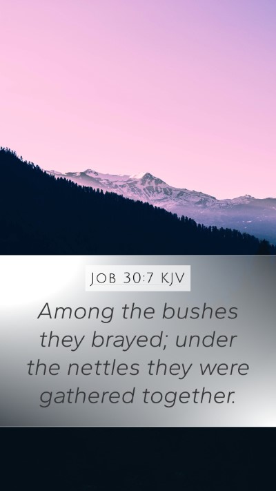 Job 30:7 Explained