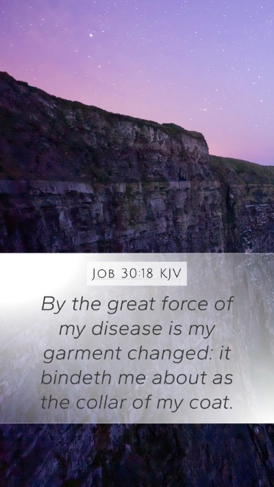 Job 30:18 Explained