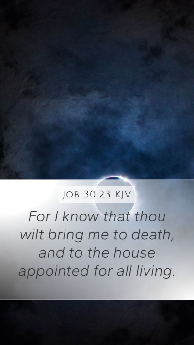 Job 30:23 Explained