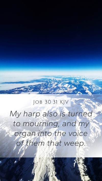 Job 30:31 Explained