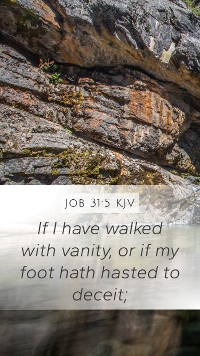 Job 31:5 Explained