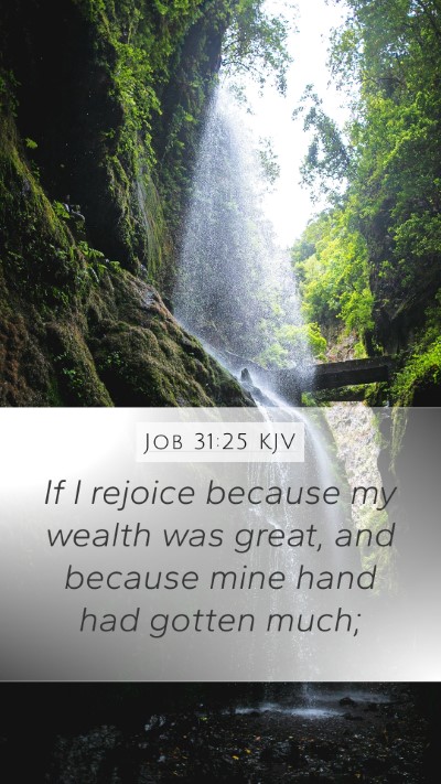 Job 31:25 Explained