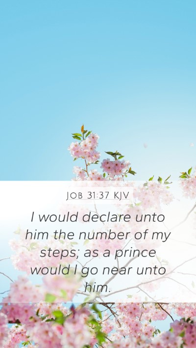 Job 31:37 Explained