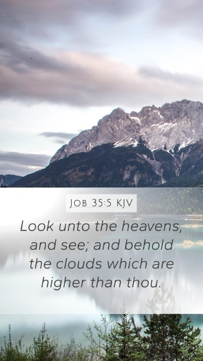 Job 35:5 Explained