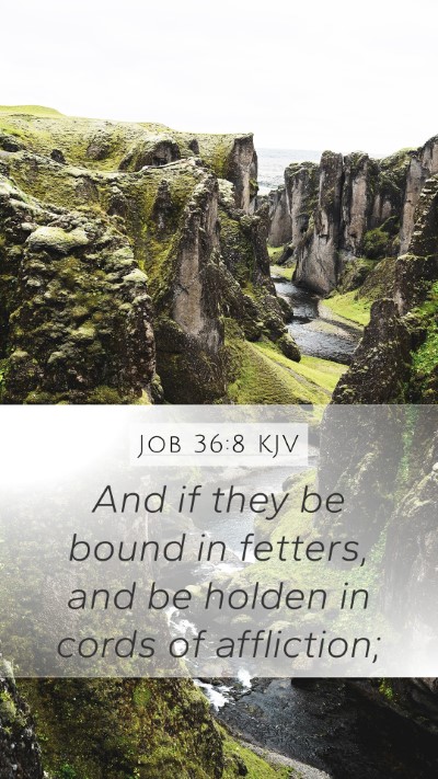 Job 36:8 Explained