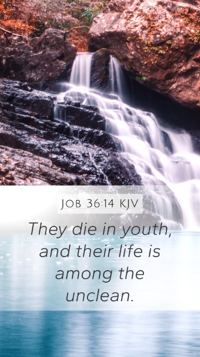 Job 36:14 Explained