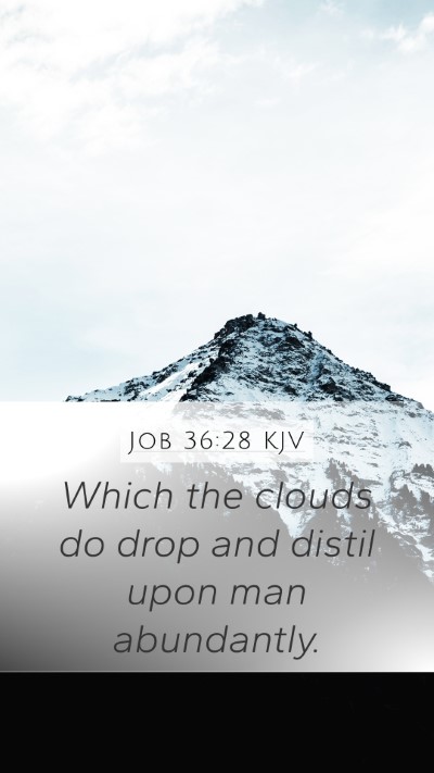 Job 36:28 Explained