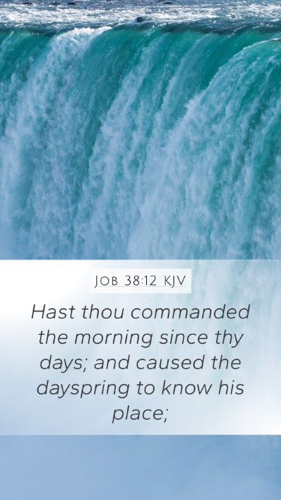 Job 38:12 Explained