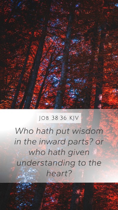 Job 38:36 Explained