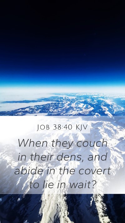 Job 38:40 Explained