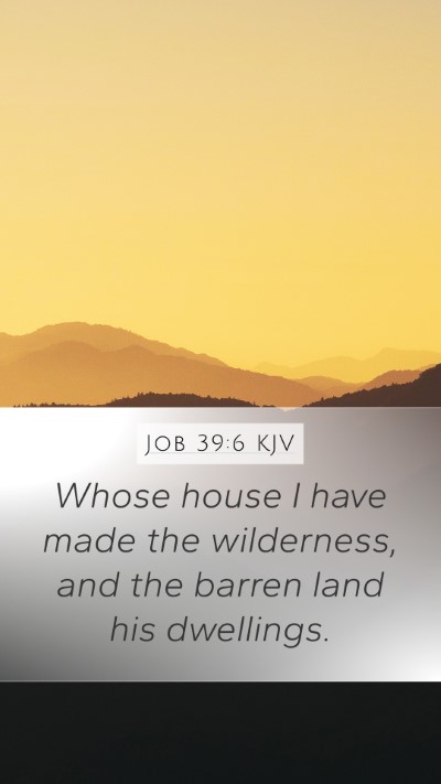 Job 39:6 Explained