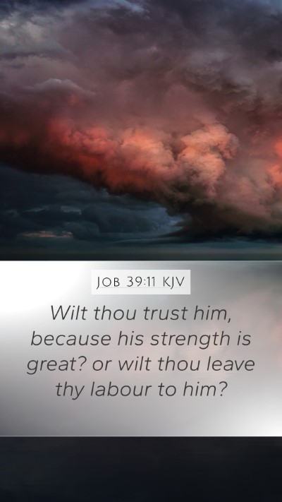 Job 39:11 Explained